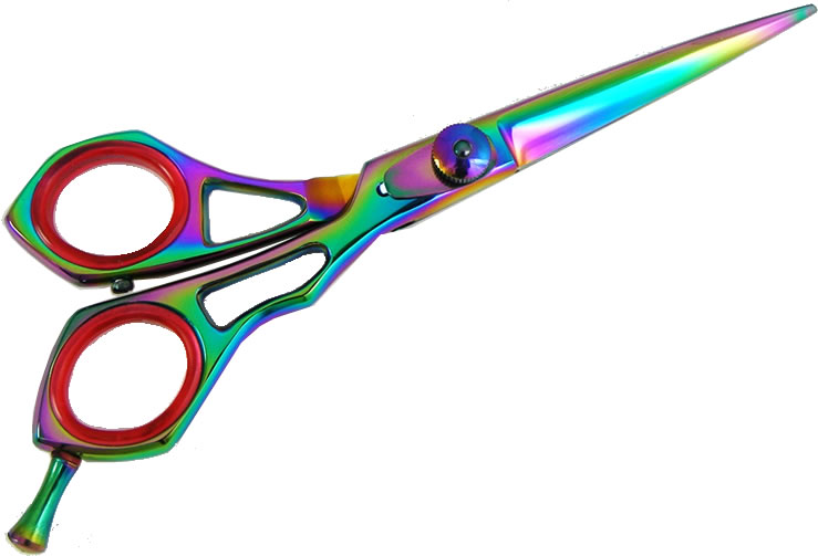 1HT2 Professional Hair Cutting Titanium Shears Scissor